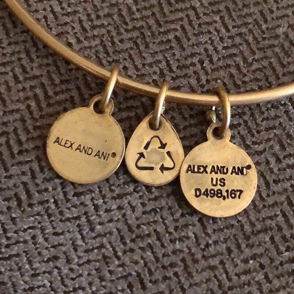 🆕 Alex and Ani ‘Compass II’ Charm Bangle 🧭 - Picture 6 of 8